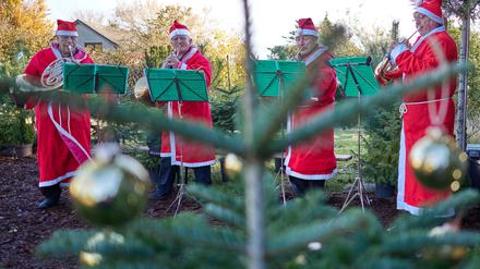 Das Weihnachtsmänner-Horn-Quartett musiziert vor einem eingetopften Tannenbaum. 
