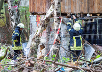 Polizei setzt Räumung im Hambacher Forst fort