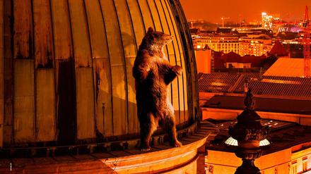 Dieser Berlinale-Bär vergnügt sich auf dem Dach des Berliner Doms.