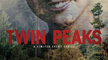 Der Neuauflage der Erfolgsserie "Twin Peaks" auf Sky ging "Twin Peaks - Der Film" voraus, in dem Gidley mitspielte.
