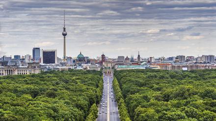 Blick vom Tiergarten Richtung Berliner Mitte: Welches Gebiet genau soll vom Masterplan umfasst werden?