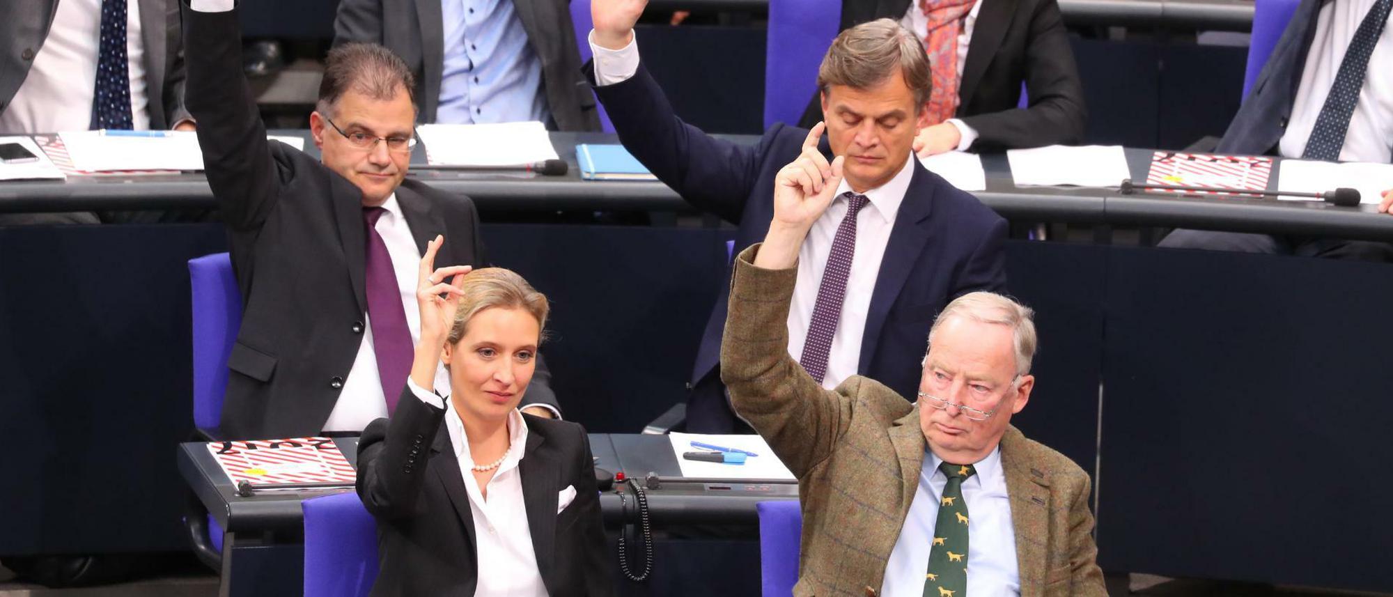 Rechtspopulisten im Bundestag: die AfD die anderen Parteien vorführen will