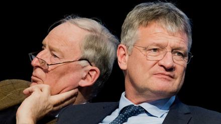 Richtig zufrieden können die neuen AfD-Bundesvorsitzenden Alexander Gauland (links) und Jörg Meuthen mit dem Verlauf des Parteitages nicht sein. 