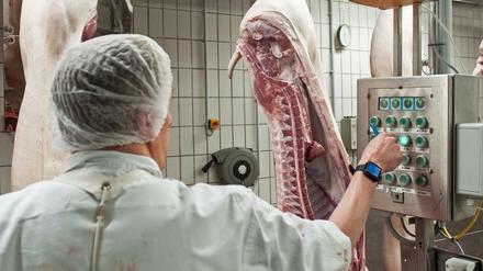 Schweinehälften passieren ein Kontrollterminal in einem Schlachthof in Ostfriesland