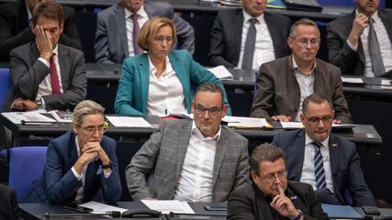 Die Mitglieder der AfD Fraktion im Bundestag.