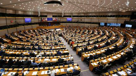 Die Wahlen zum Europaparlament finden zwischen dem 23. und 26. Mai statt. 