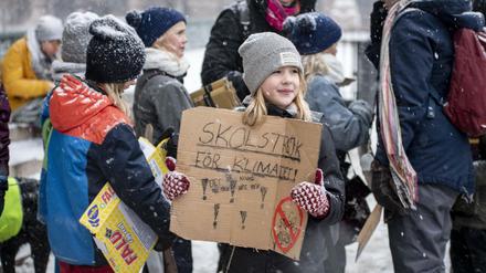 #fridaysforfuture-Demo von Schülern in Stockholm am 1. Februar 2019