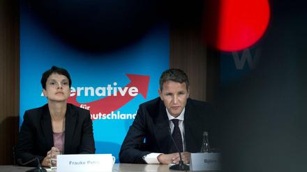 AfD-Politiker Frauke Petry, Björn Höcke: "Ganz bewusst und ganz gezielt immer wieder politisch inkorrekt"  