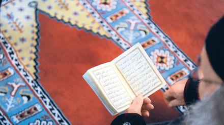 Ein Teil Deutschlands: Gläubiger bei der Koranlektüre in der Essener Fatih-Moschee. 
