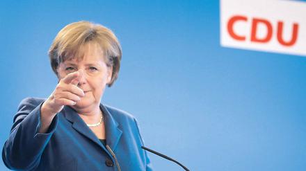 Das geht es lang. Merkel hat nach dem furchtbaren ersten Jahr der schwarz-gelben Koalition die Stammwähler gepflegt.