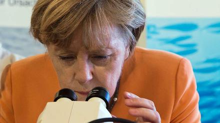 Was verstehen die Deutschland unter Wohlstand? Unter diesem Mikroskop wird Bundeskanzlerin Merkel wohl keine Amtworten finden.