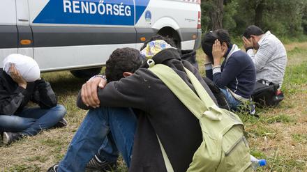 In Ungarn von der Polizei aufgegriffene Flüchtlinge