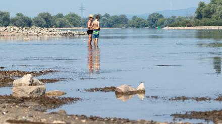 Wenn das Wasser zurückgeht. Auch Bayern leidet unter der Hitze, die Donau führt immer weniger Wasser. 