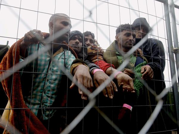 Pakistanische Flüchtlinge zeigen ihre Erkennungsarmbänder am Handgelenk im Flüchtlingslager bei Röszke, in der Nähe der ungarisch-serbischen Grenze.