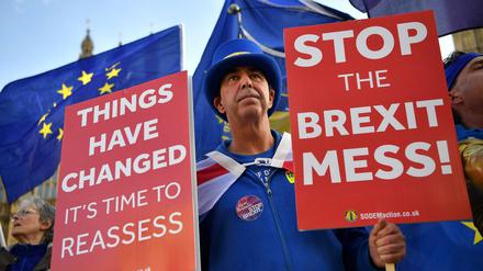 Ein neues Referendum? Brexit-Gegner demonstrieren am Mittwoch vor dem Parlament in London.