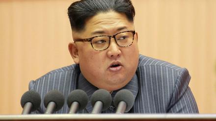 Nordkorea werde unter Machthaber Kim Jong Un im kommenden Jahr versuchen, im Streit über die nukleare Aufrüstung Gespräche mit den USA aufzunehmen, erwartet das südkoreanische Vereinigungsministerium.