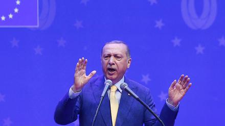 In Deutschland durfte Erdogan nicht auftreten. Heute wandte er sich in Sarajevo an Tausende Auslandstürken.
