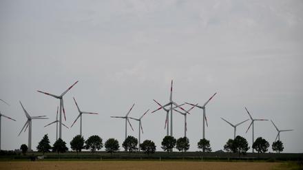 Windkraftanlagen im Kaiser-Wilhelm-Koog in Schleswig-Holstein.