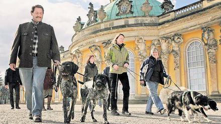 Auf den Hund gekommen. Hundetrainer aus ganz Deutschland absolvierten an der IHK Potsdam die Weiterbildung zum Hundefachwirt. Höhepunkt zum Abschluss des Kurses war ein Rundgang durch die Landeshauptstadt mit Besuch in Sanssouci, wo Friedrich II. neben seinen geliebten Vierbeinern ruht.