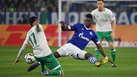 Bessere Haltungsnoten. Nuri Sahin (l.) und Werder Bremen ziehen gegen Breel Embolos Schalker ins Halbfinale ein.