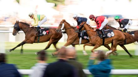 Tempo, Tempo: Beim Deutschen Galopp-Derby werden die schnellsten Pferde ihres Jahrgangs gesucht.