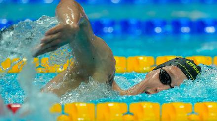 Schwimmen: Weltmeisterschaft, 1500 m Freistil, Männer, Finale: Florian Wellbrock aus Deutschland in Aktion.