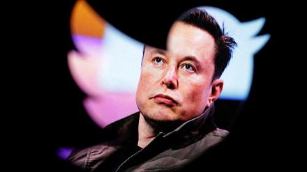 Elon Musk hatte Twitter Ende Oktober übernommen (Symbolbild).