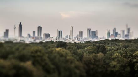 Aus dem richtigen Blickwinkel ist Frankfurts Börsenwelt schon ganz grün. 