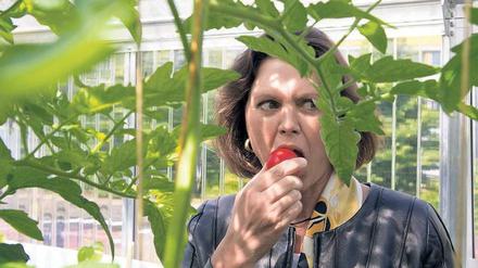 Rot-Grün. Auch Landwirtschaftsministerin Ilse Aigner (CSU) hat sich schon davon überzeugt, dass die ECF-Idee Früchte trägt.