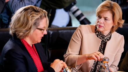 Umweltministerin Svenja Schulze und Agrarministerin Julia Klöckner konnten sich nach eineinhalb Jahren einigen.