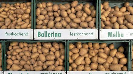 Diverse Kartoffelsorten in einem Ladenregal