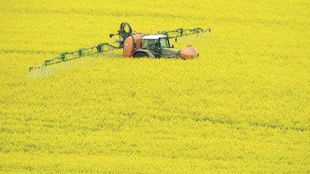 EU-Agrarkommissar Ciolos macht in der Frage der Agrarreform einen Schritt auf Deutschland zu: Umweltmaßnahmen sollen gewürdigt werden.