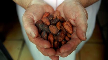 Das aktuelle Durchschnittseinkommen von Kakaobauern beträgt 0,78 Dollar. 