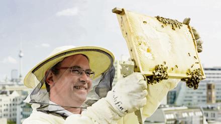 Marc-Wilhelm Kohfink mit einem seiner rund 120 Bienenvölker in Berlin. In der Familie des Imkers aus Berlin-Köpenick arbeitet man sei seit 120 Jahren mit Bienen.