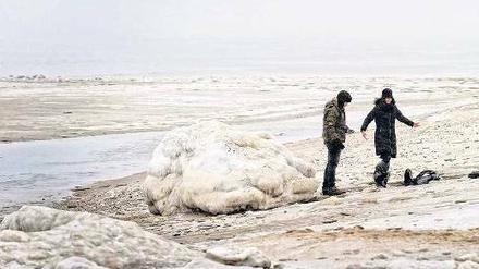 Eiskalte Furcht. Fiele der Golfstrom aus, sähe der Strand von Sylt häufiger so aus wie auf dieser Aufnahme vom Dezember. 