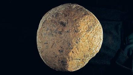 Kalifornischer Ur-Hammer. Nach Ansicht der Forscher wurde der Stein von Frühmenschen benutzt, um Knochen zu zerschlagen und an deren Mark zu gelangen..