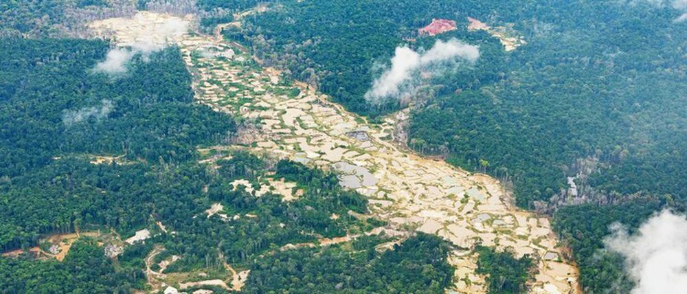 Luftbild von gerodeten Goldabbaugebieten im Regenwald Guyanas. Foto: Daniel Rosengren/ZGF
