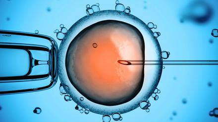 Starthilfe. Die künstliche Befruchtung ist längst Routine - doch nur eine von vier Frauen wird nach dem Einsetzen des Embryos tatsächlich schwanger. 